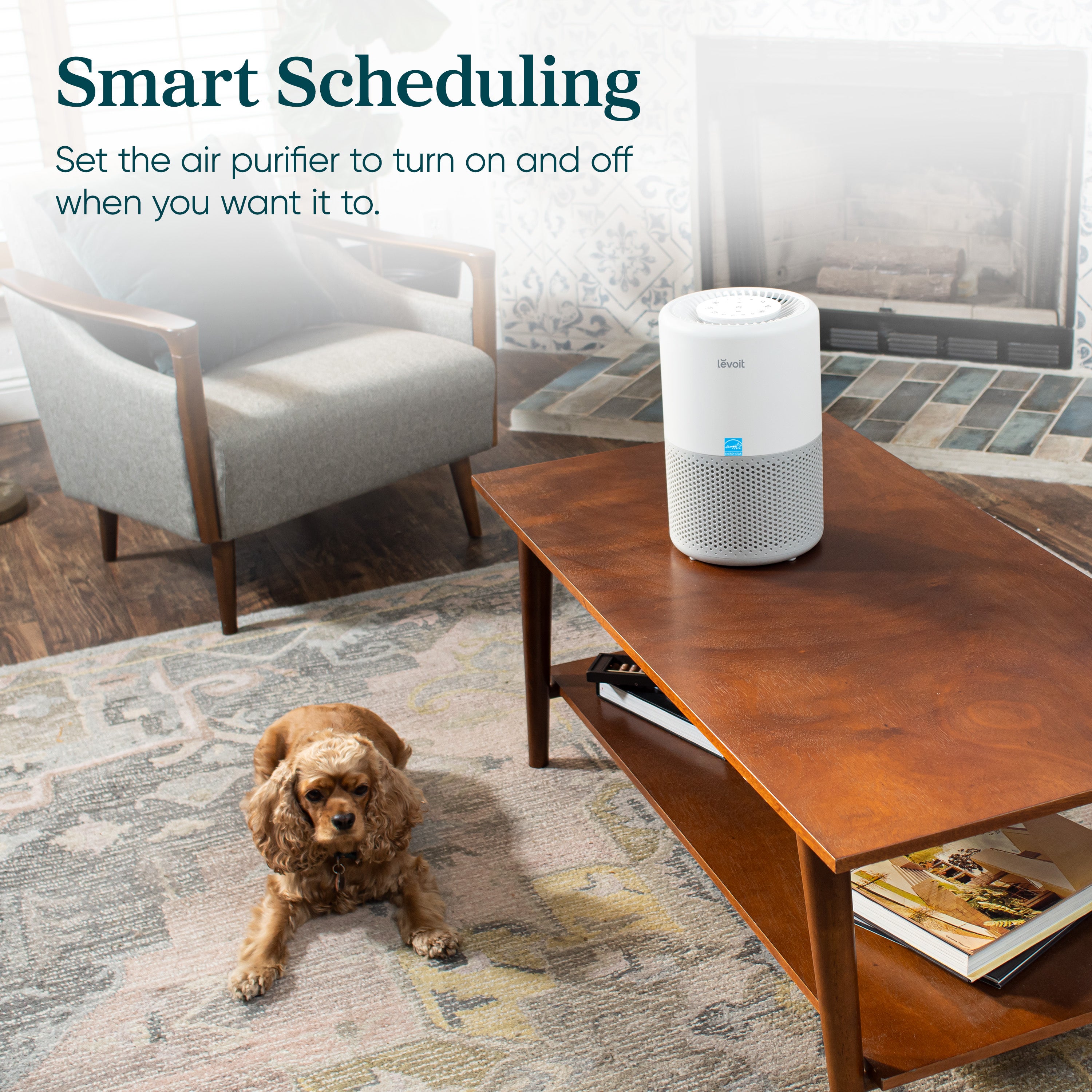 Core 200S-P 675 Sq Ft Smart Air Purifier